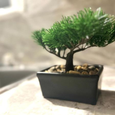 ווינדזור Albert Housing מראה חיצוני תמונה
