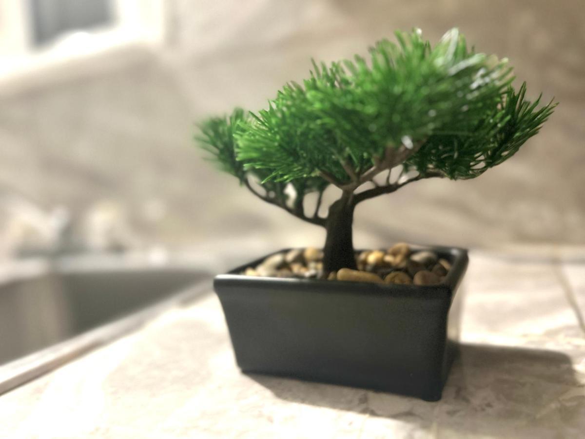 ווינדזור Albert Housing מראה חיצוני תמונה